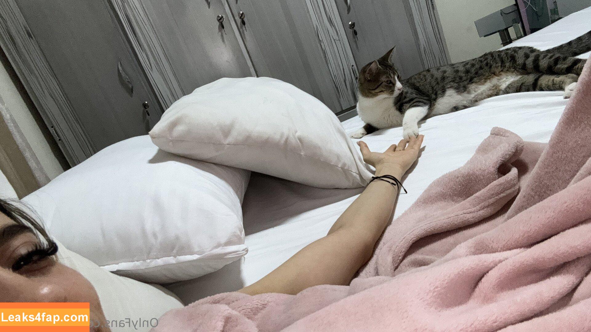 elasticbella / missgazellenyc leaked photo photo #0002