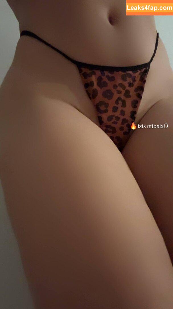 Elif Karaarslan / elifkaraarslan_17 leaked photo photo #0257