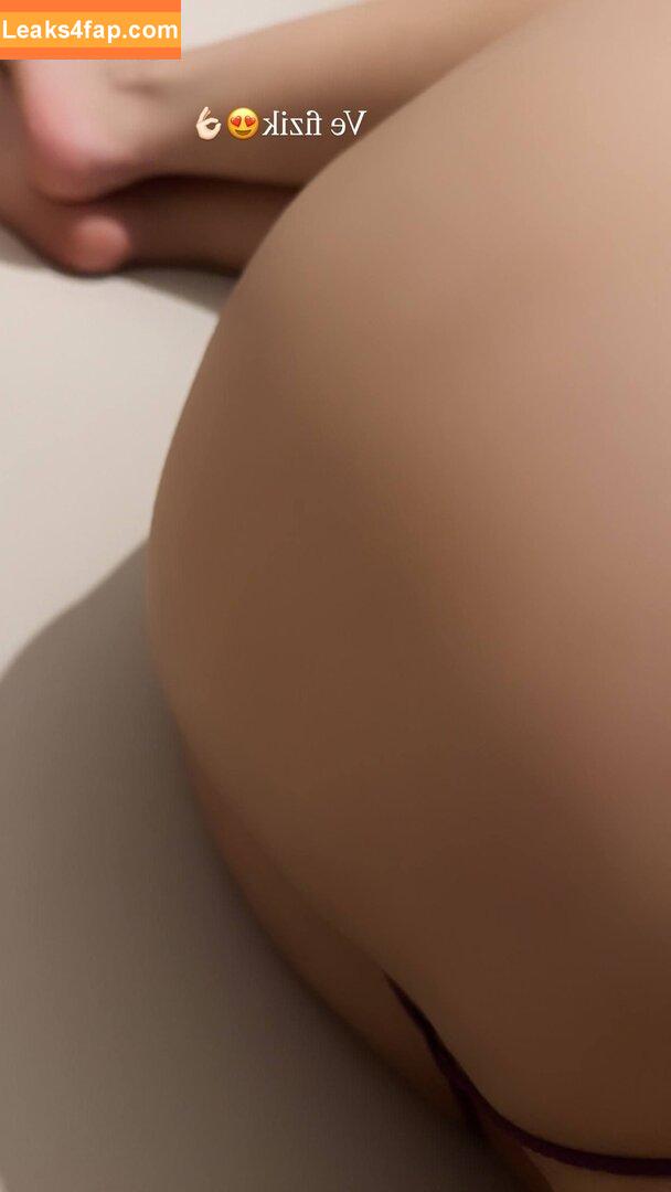 Elif Karaarslan / elifkaraarslan_17 leaked photo photo #0265