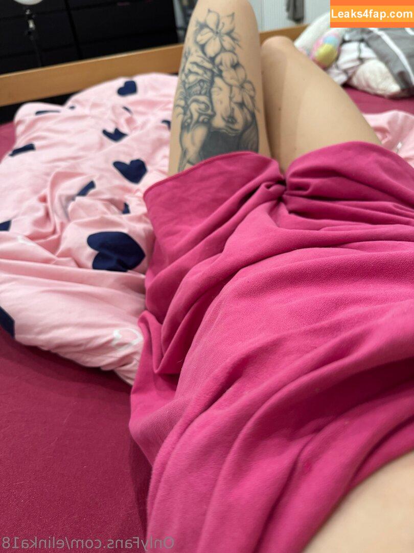 elinka18 / elinatwitch leaked photo photo #0021