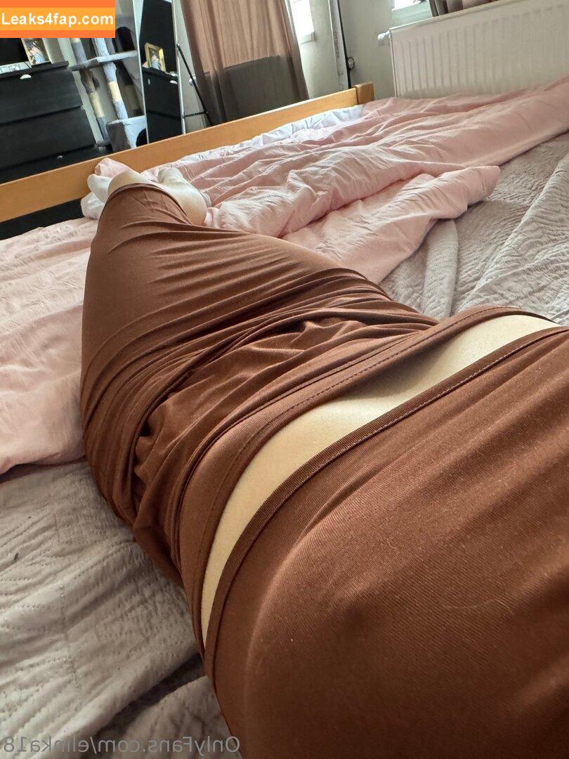 elinka18 / elinatwitch leaked photo photo #0047