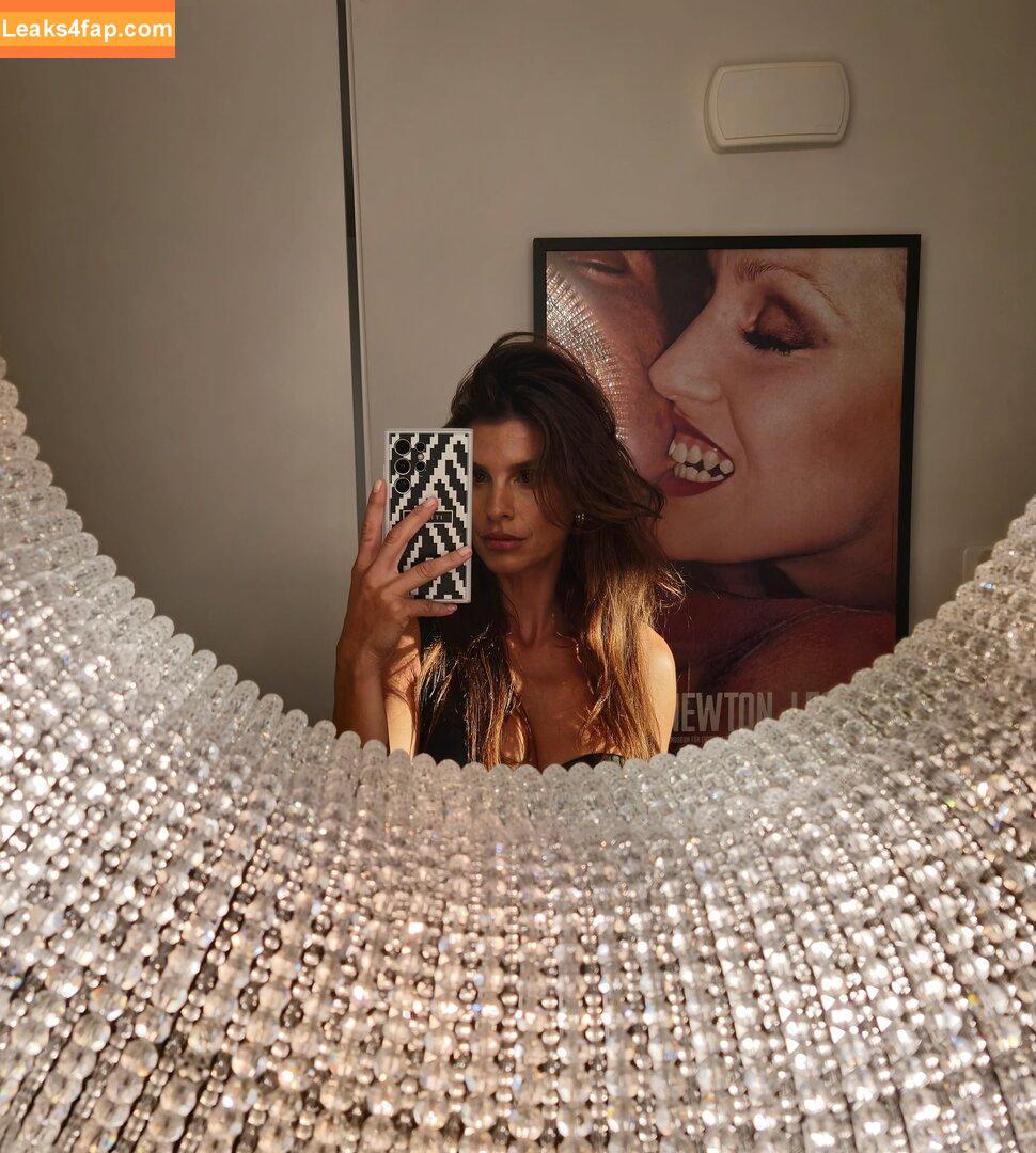 Elisabetta Canalis / JustElisabetta / littlecrumb_ leaked photo photo #0880