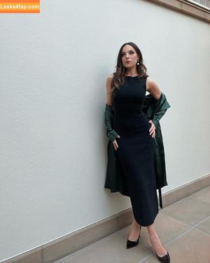 Elizabeth Gillies photo #0381