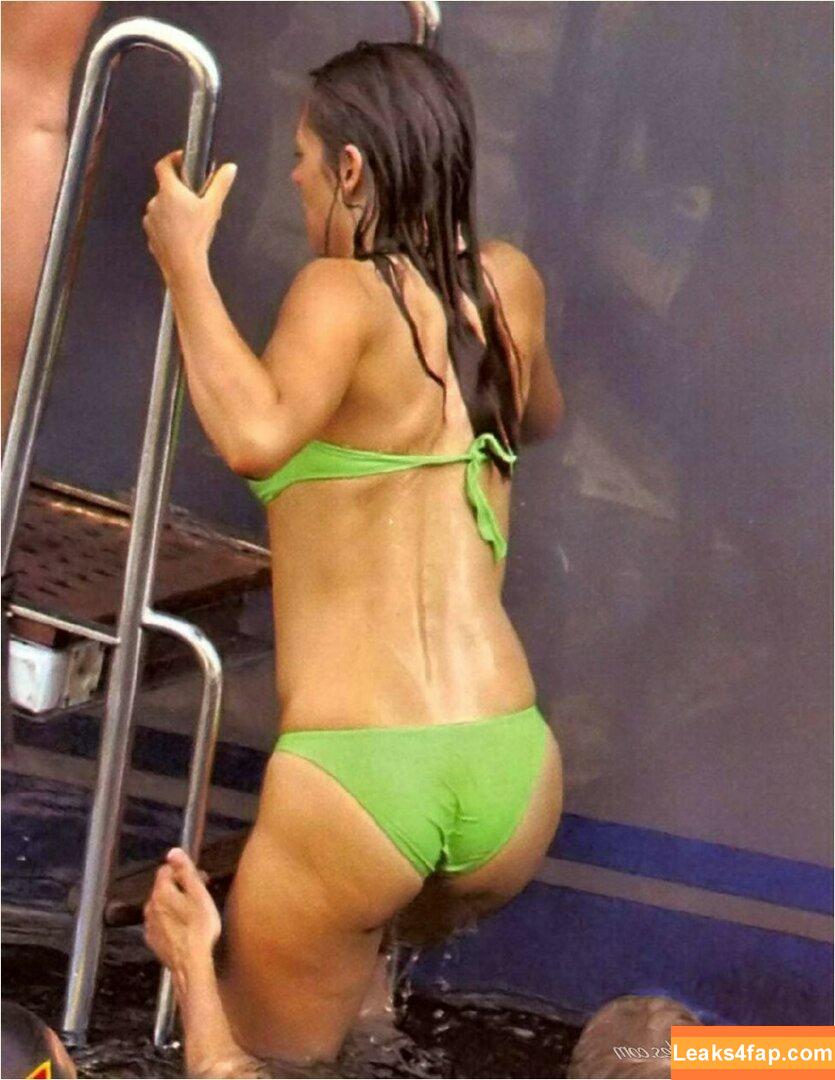 Elizabeth Hurley / elizabethhurley1 leaked photo photo #0265