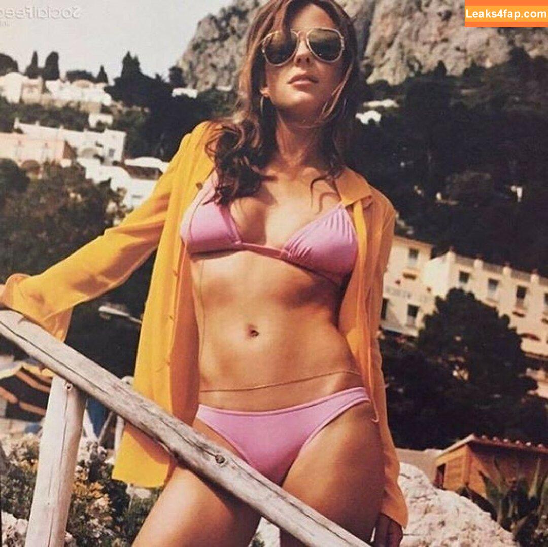 Elizabeth Hurley / elizabethhurley1 leaked photo photo #0325