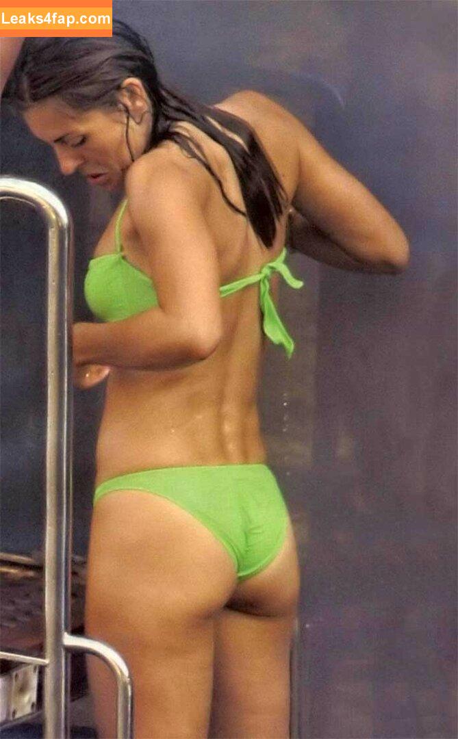 Elizabeth Hurley / elizabethhurley1 leaked photo photo #0350