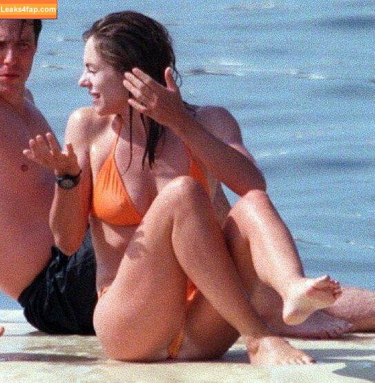Elizabeth Hurley / elizabethhurley1 leaked photo photo #0358