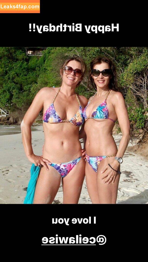 Elizabeth Hurley / elizabethhurley1 leaked photo photo #0417