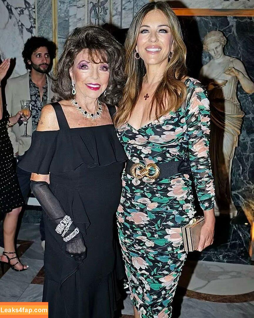 Elizabeth Hurley / elizabethhurley / elizabethhurley1 leaked photo photo #0575