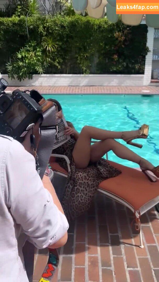 Elizabeth Hurley / elizabethhurley / elizabethhurley1 leaked photo photo #0957