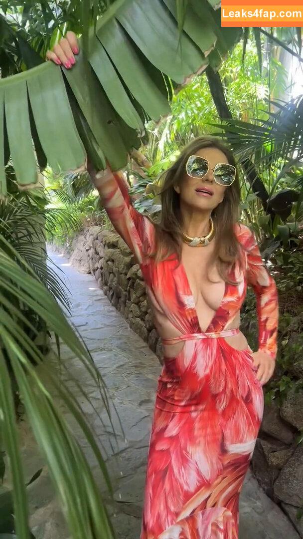 Elizabeth Hurley / elizabethhurley / elizabethhurley1 leaked photo photo #1265