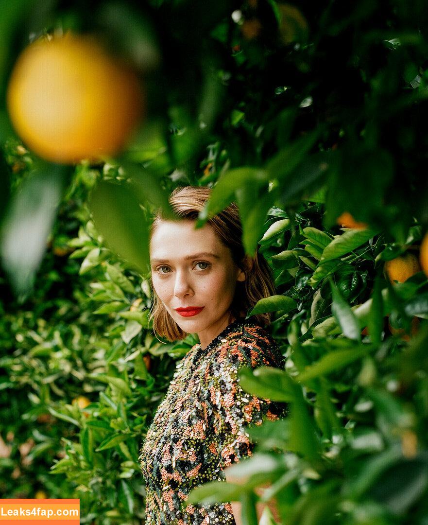 Elizabeth Olsen / elizabetholsendaily / lizabeth_olsen leaked photo photo #0114