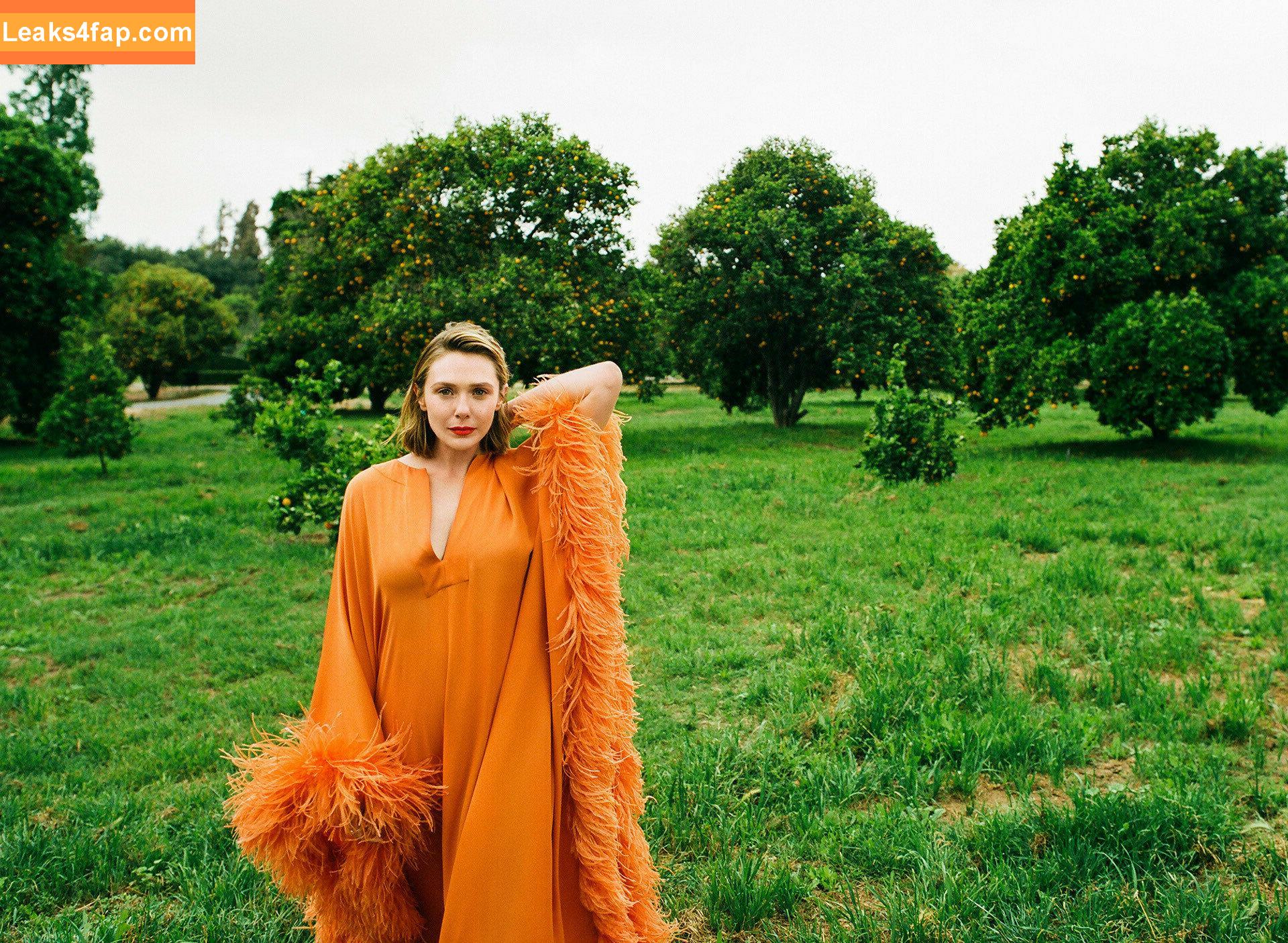 Elizabeth Olsen / elizabetholsendaily / lizabeth_olsen leaked photo photo #0134