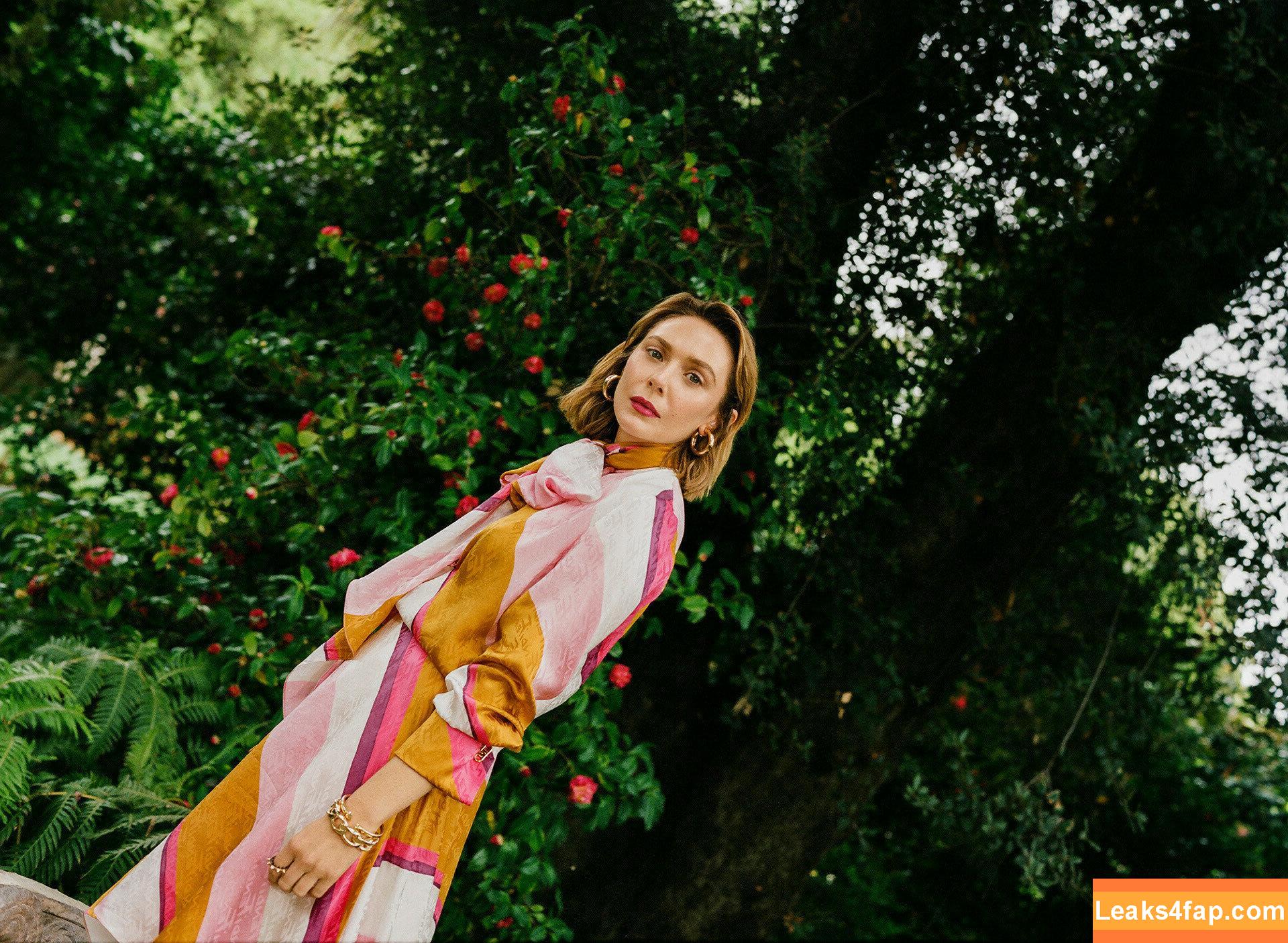 Elizabeth Olsen / elizabetholsendaily / lizabeth_olsen leaked photo photo #0143