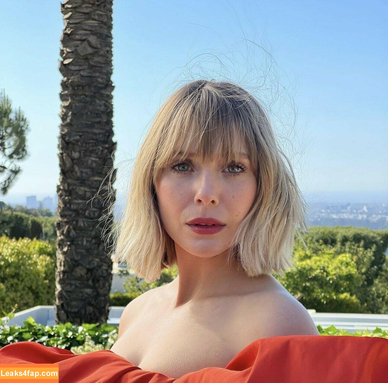 Elizabeth Olsen / elizabetholsendaily / lizabeth_olsen leaked photo photo #0144