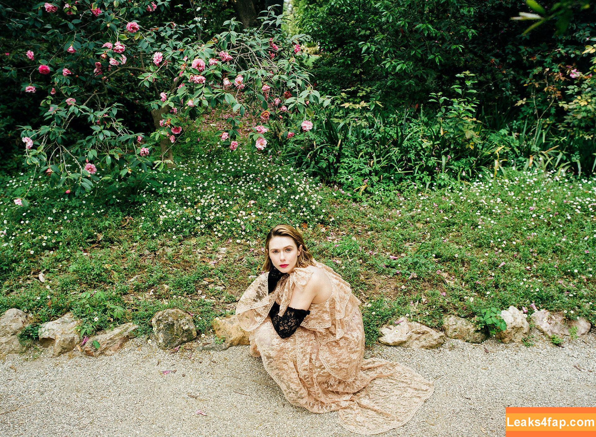 Elizabeth Olsen / elizabetholsendaily / lizabeth_olsen leaked photo photo #0145