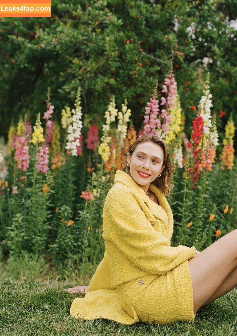 Elizabeth Olsen / elizabetholsendaily / lizabeth_olsen leaked photo photo #0458