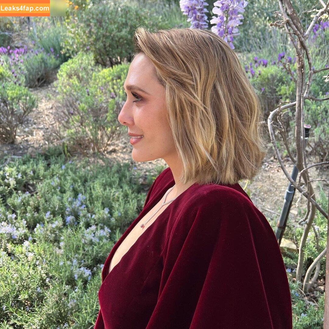 Elizabeth Olsen / elizabetholsendaily / lizabeth_olsen leaked photo photo #0840