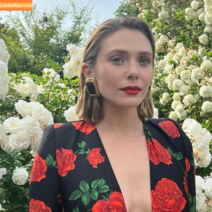 Elizabeth Olsen photo #1569