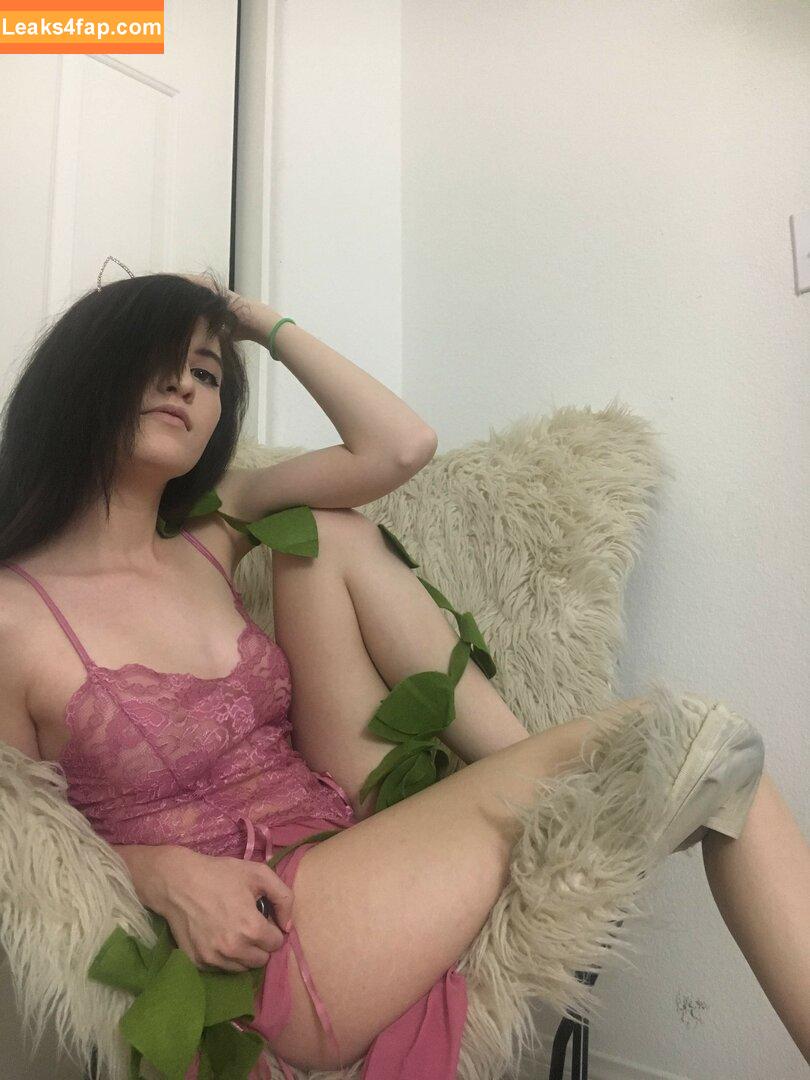 Elizabeth Reed / KawaiiiKitten / KawaiiiKitty / elizabethreed / hi_its_elizabeth_reed leaked photo photo #0181