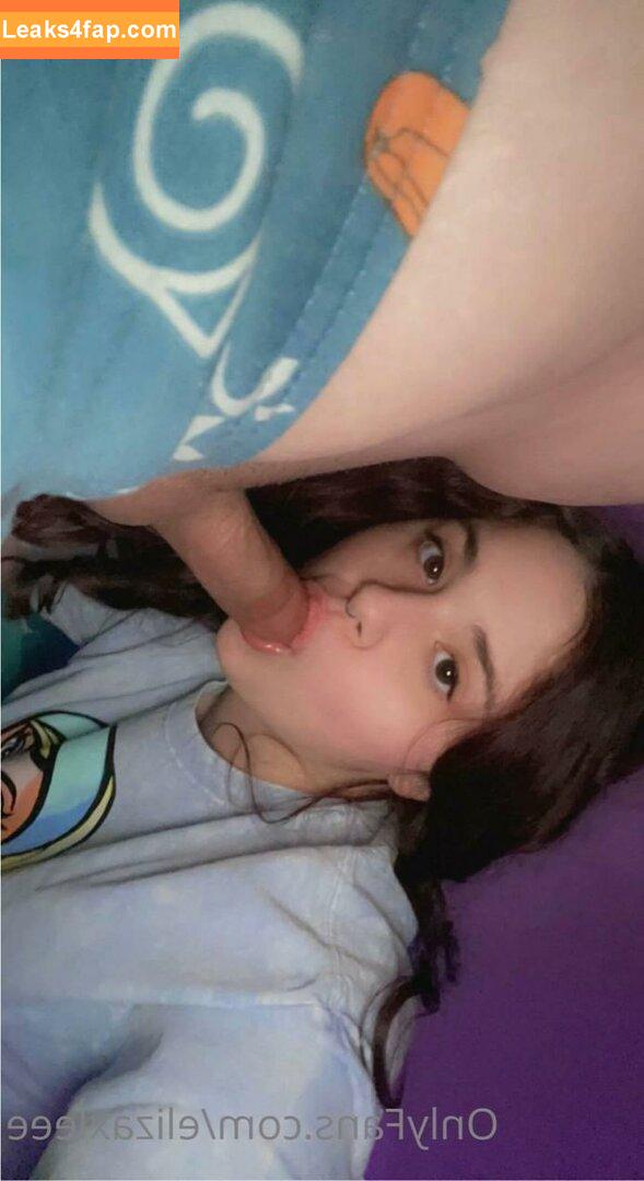 Elizaxleee / Elizabxthlee leaked photo photo #0002