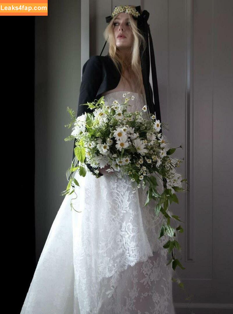 Elle Fanning / ellefanning leaked photo photo #0450