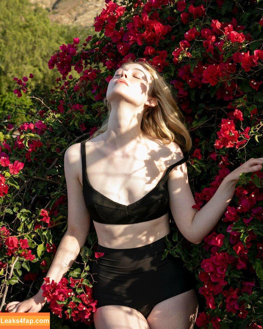 Elle Fanning / ellefanning leaked photo photo #0538