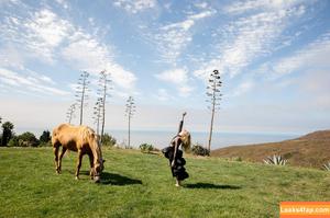 Elle Fanning photo #0534