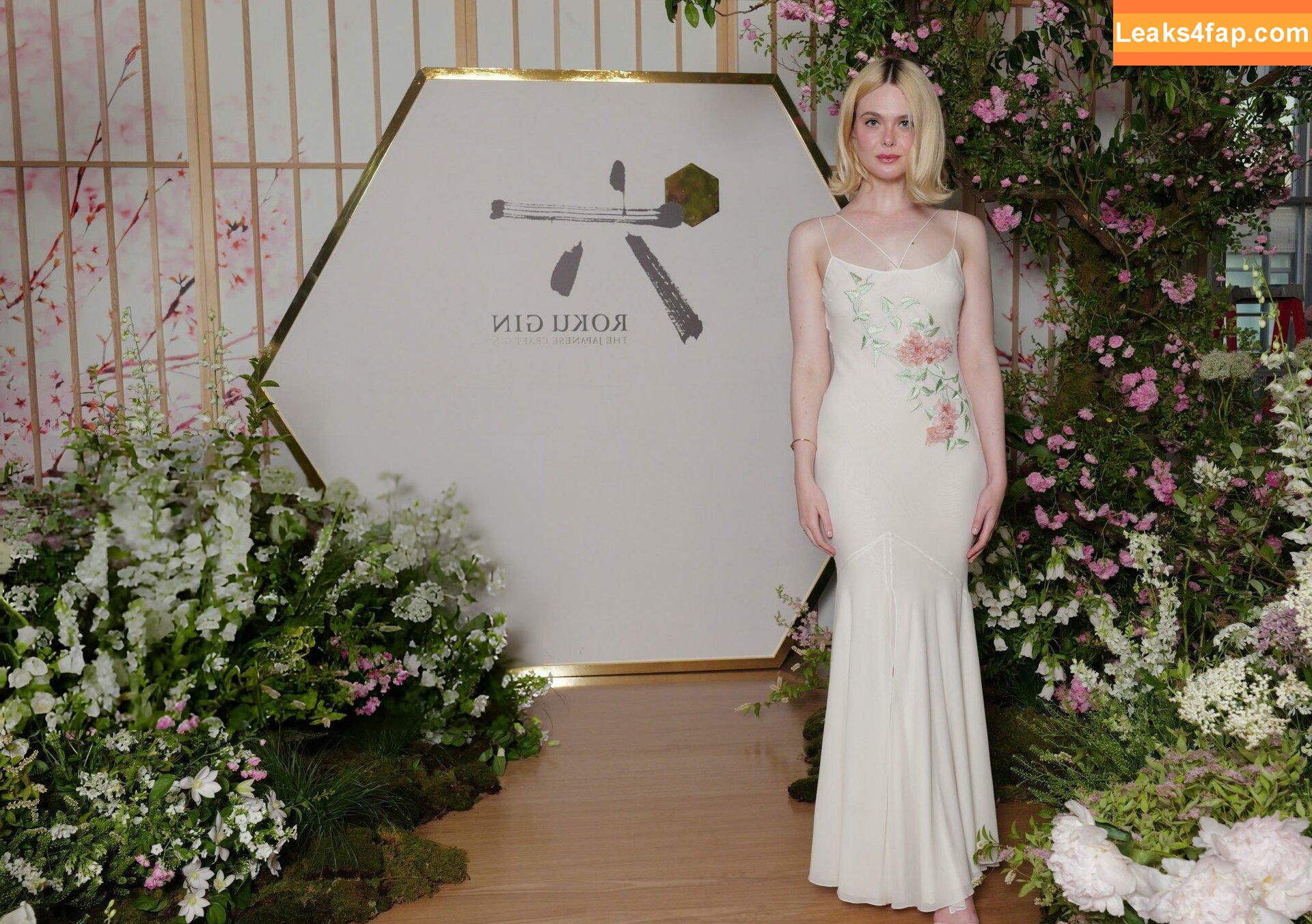 Elle Fanning / ellefanning leaked photo photo #1569