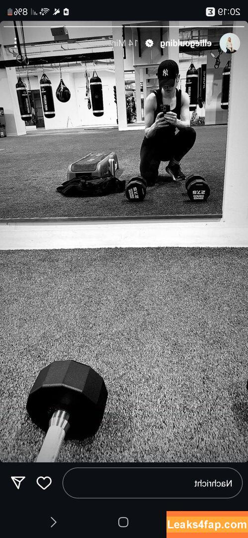 Ellie Goulding / elliegoulding / zarinamae leaked photo photo #0726