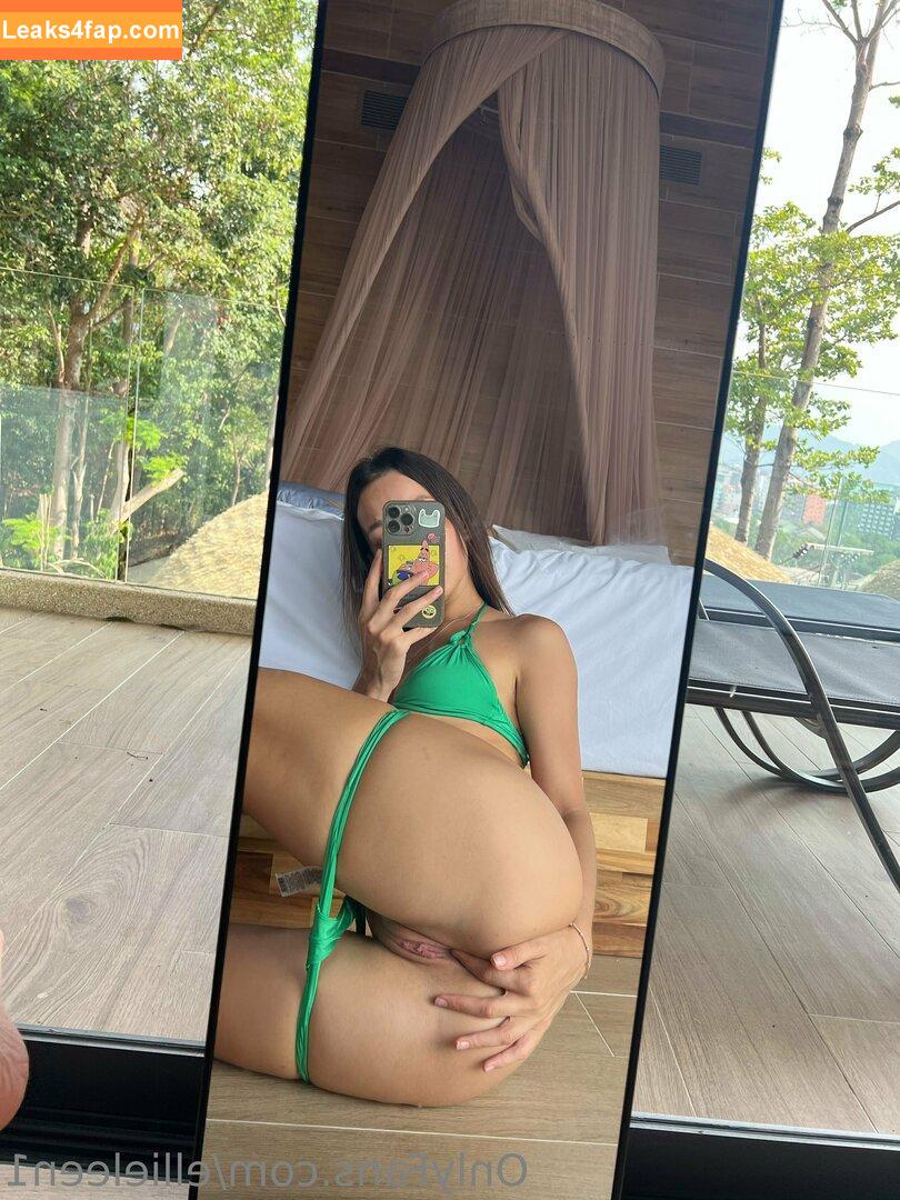 ellieleen / ellieleen1 / itsnotellieleen leaked photo photo #0805