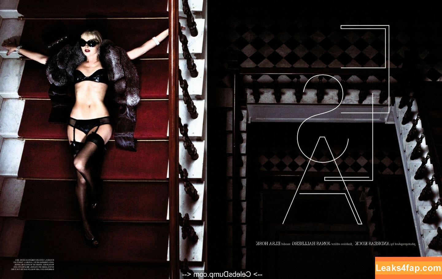 Elsa Hosk / elsahosk / hoskelsa / https: leaked photo photo #0449