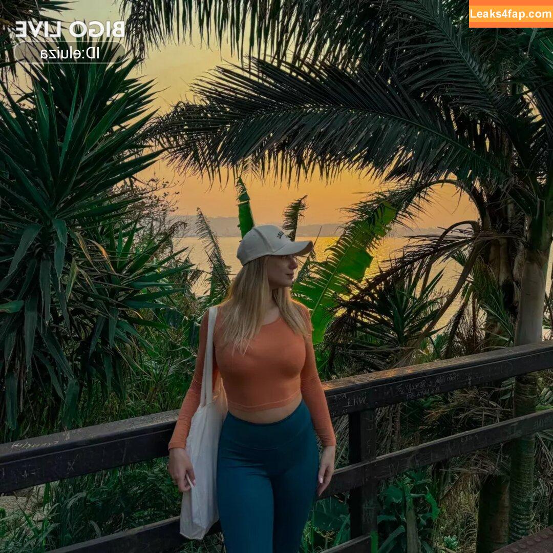 eluiza / eliza.09 / eluizakavalek leaked photo photo #0004