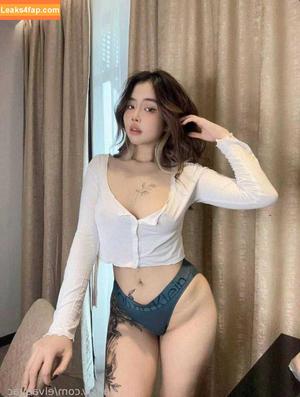 Elvaevac photo #0115