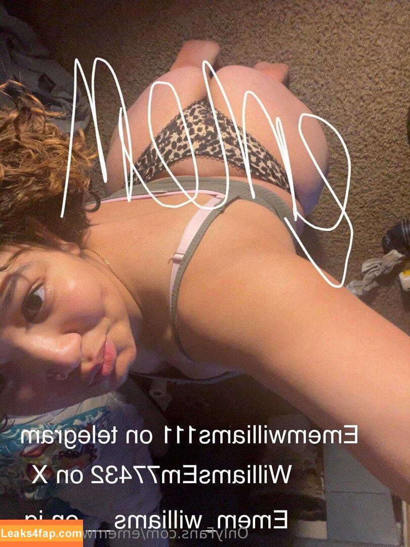 ememwilliams111 / thewilliams11 leaked photo photo #0025