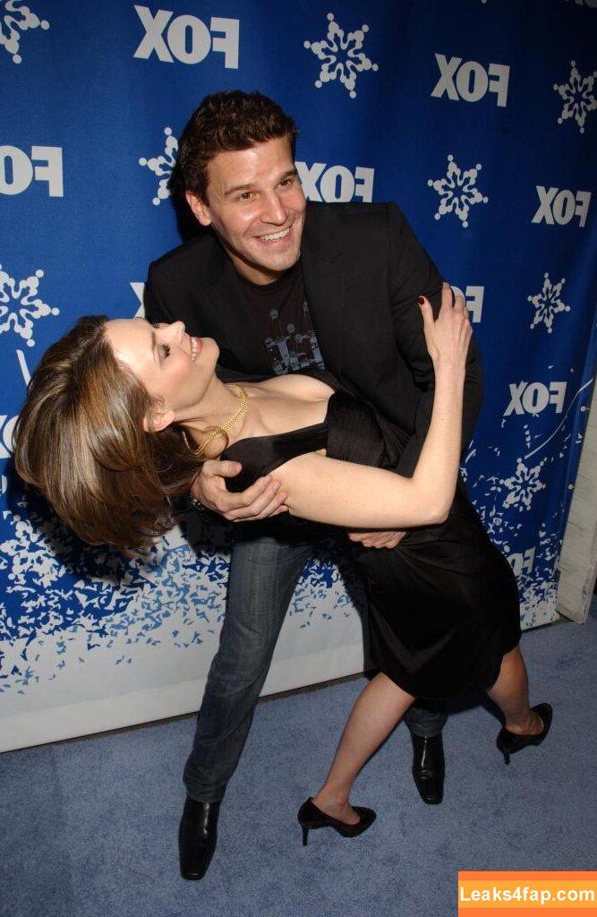 Emily Deschanel /  слитое фото фото #0017