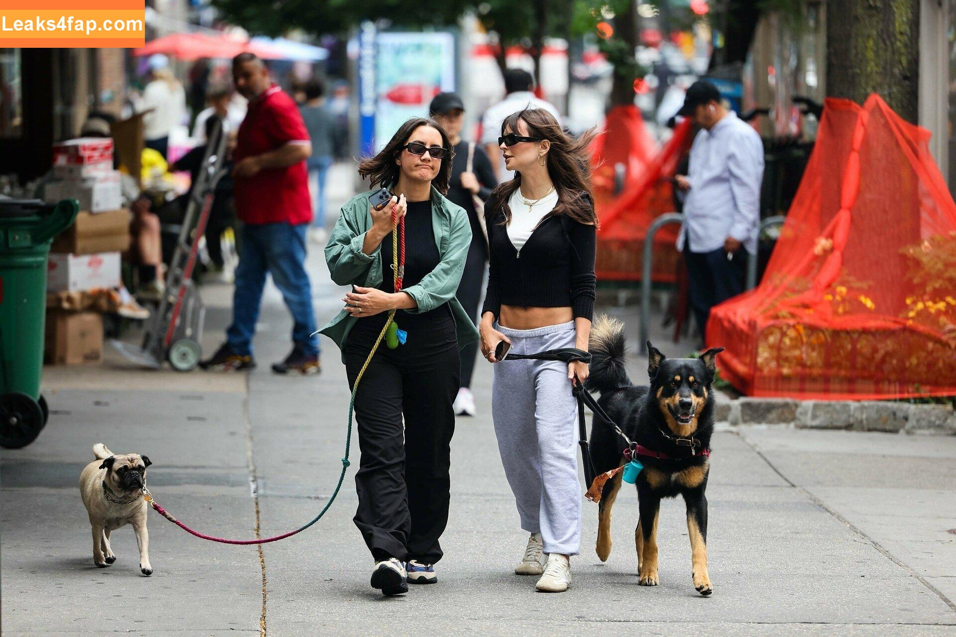 Emily Ratajkowski / Officialemilyratajkowski / emrata / https: слитое фото фото #1051