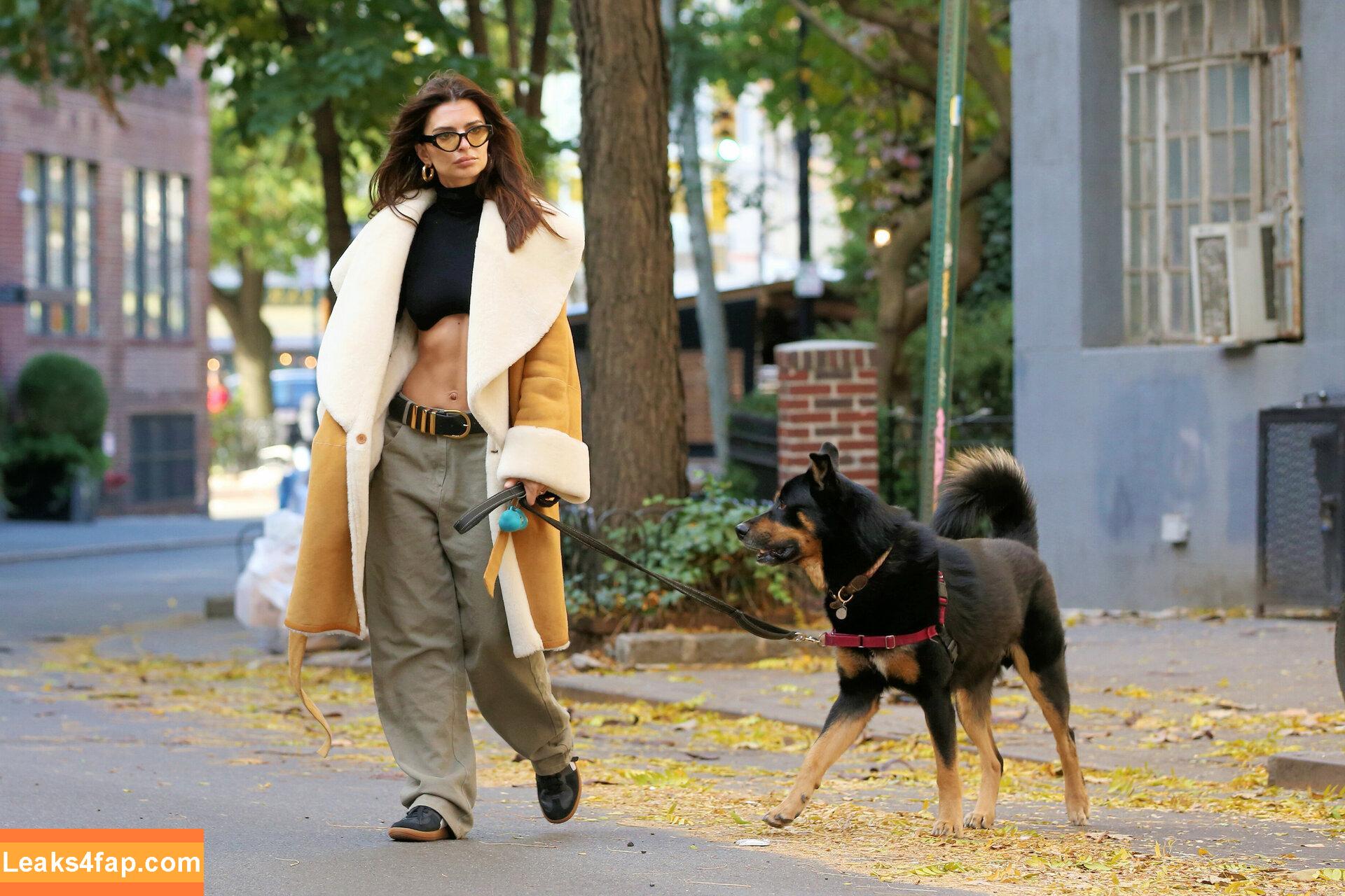 Emily Ratajkowski / Officialemilyratajkowski / emrata / https: leaked photo photo #2027