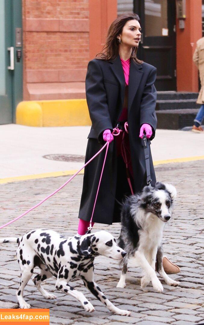 Emily Ratajkowski / Officialemilyratajkowski / emrata / https: leaked photo photo #2152