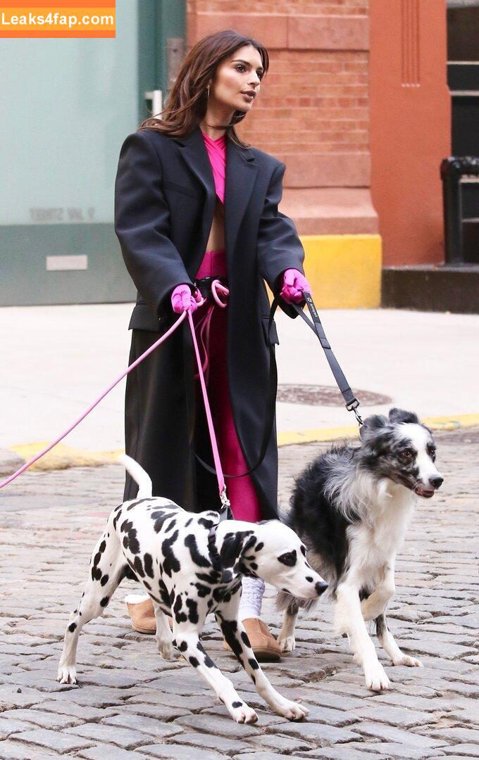 Emily Ratajkowski / Officialemilyratajkowski / emrata / https: leaked photo photo #2153