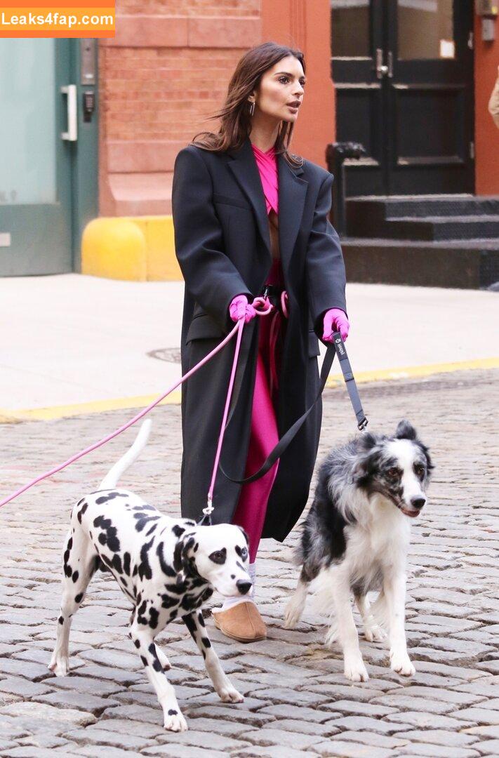 Emily Ratajkowski / Officialemilyratajkowski / emrata / https: leaked photo photo #2155