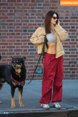 Emily Ratajkowski photo #3520