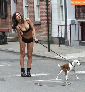 Emily Ratajkowski photo #3683