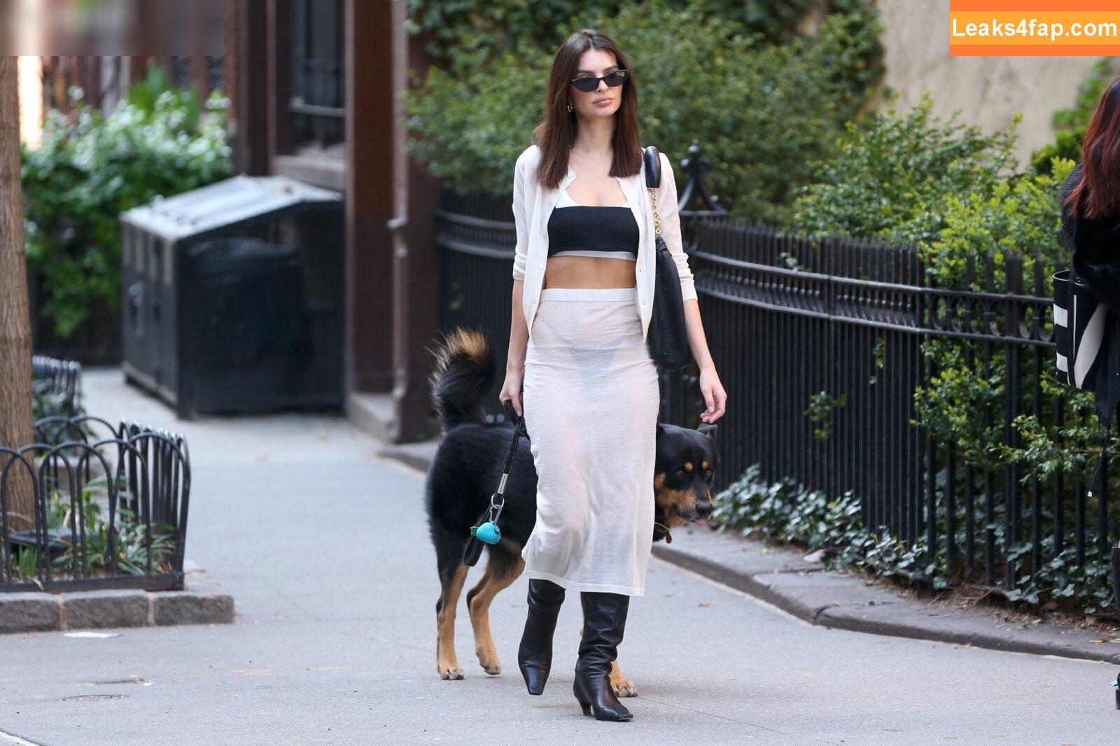 Emily Ratajkowski / emrata слитое фото фото #5091