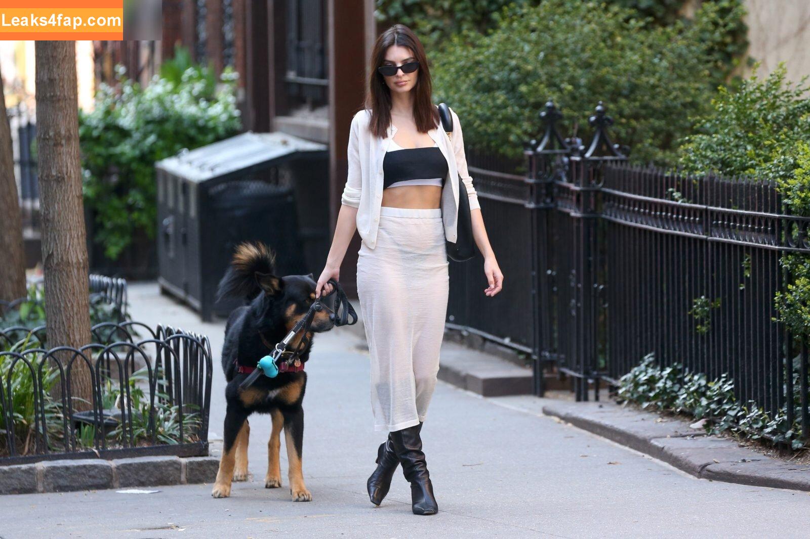 Emily Ratajkowski / emrata слитое фото фото #5101