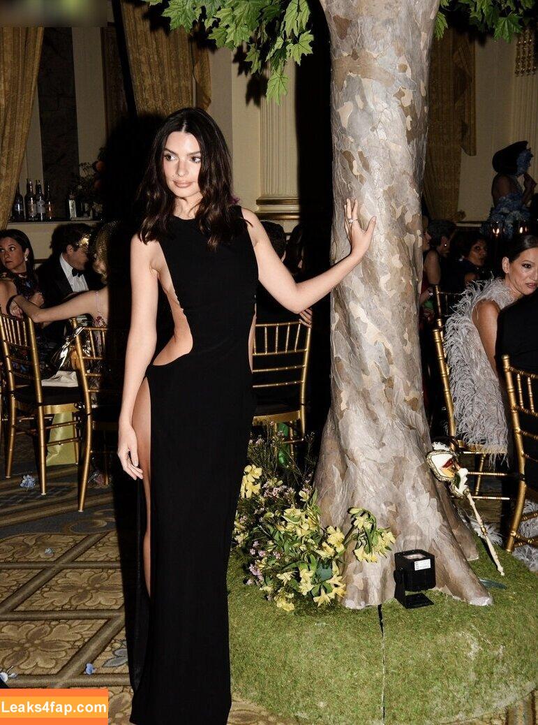 Emily Ratajkowski / emrata слитое фото фото #5122