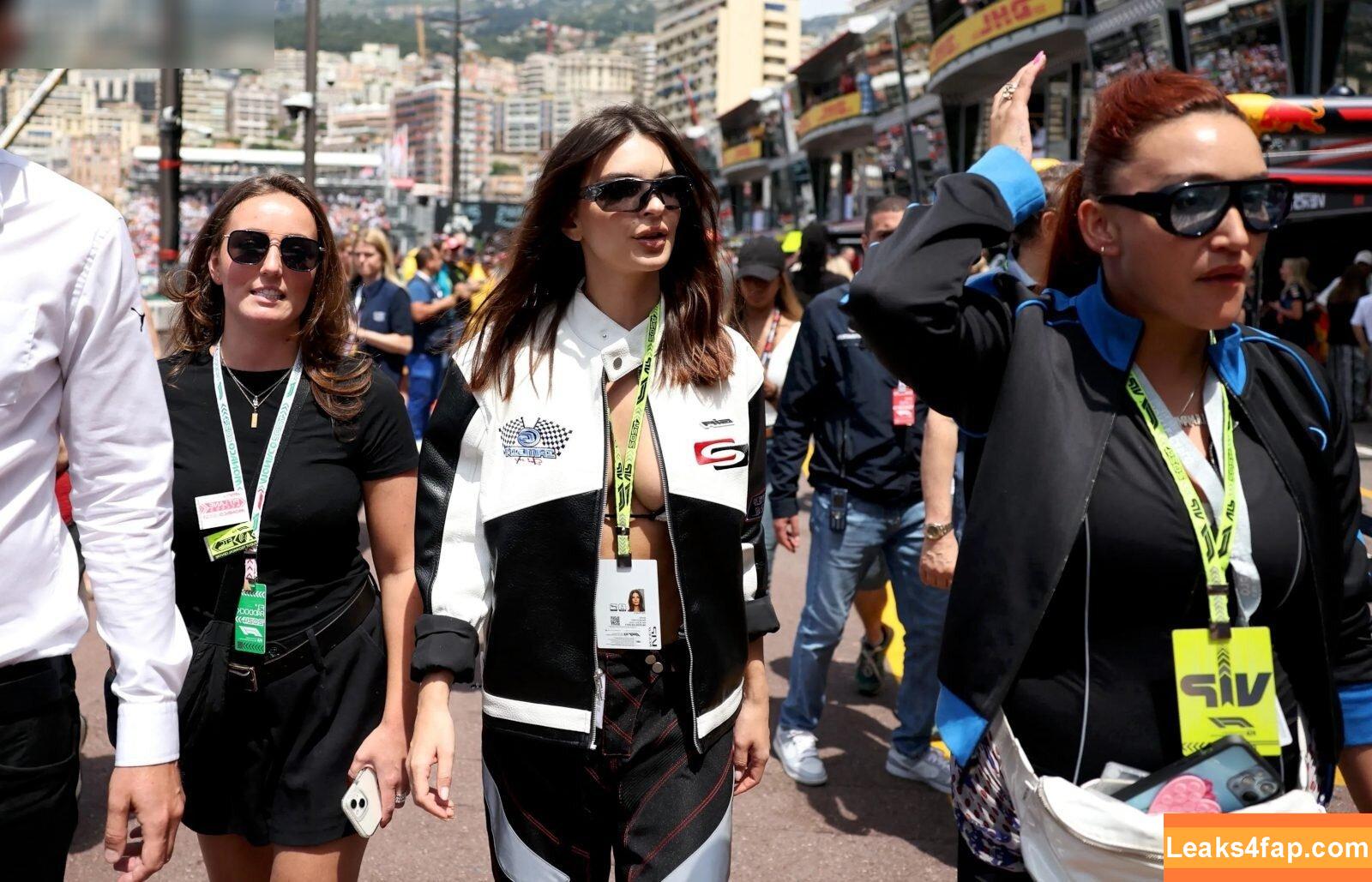 Emily Ratajkowski / emrata слитое фото фото #5308