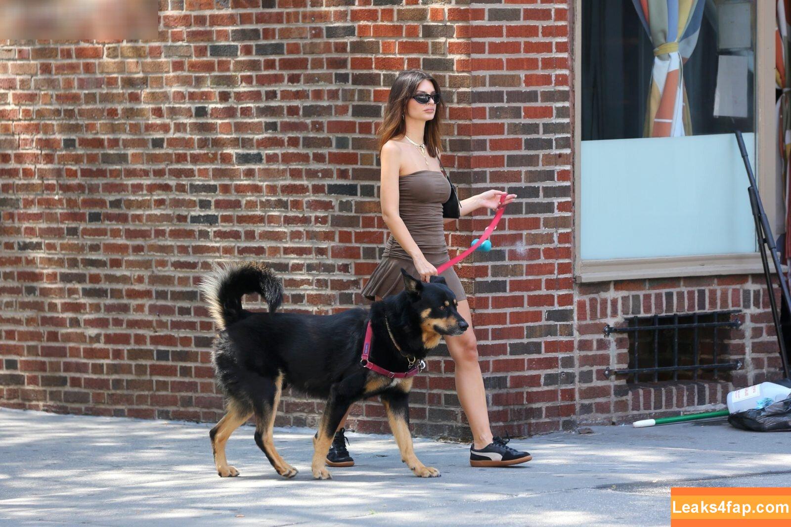 Emily Ratajkowski / emrata слитое фото фото #5484