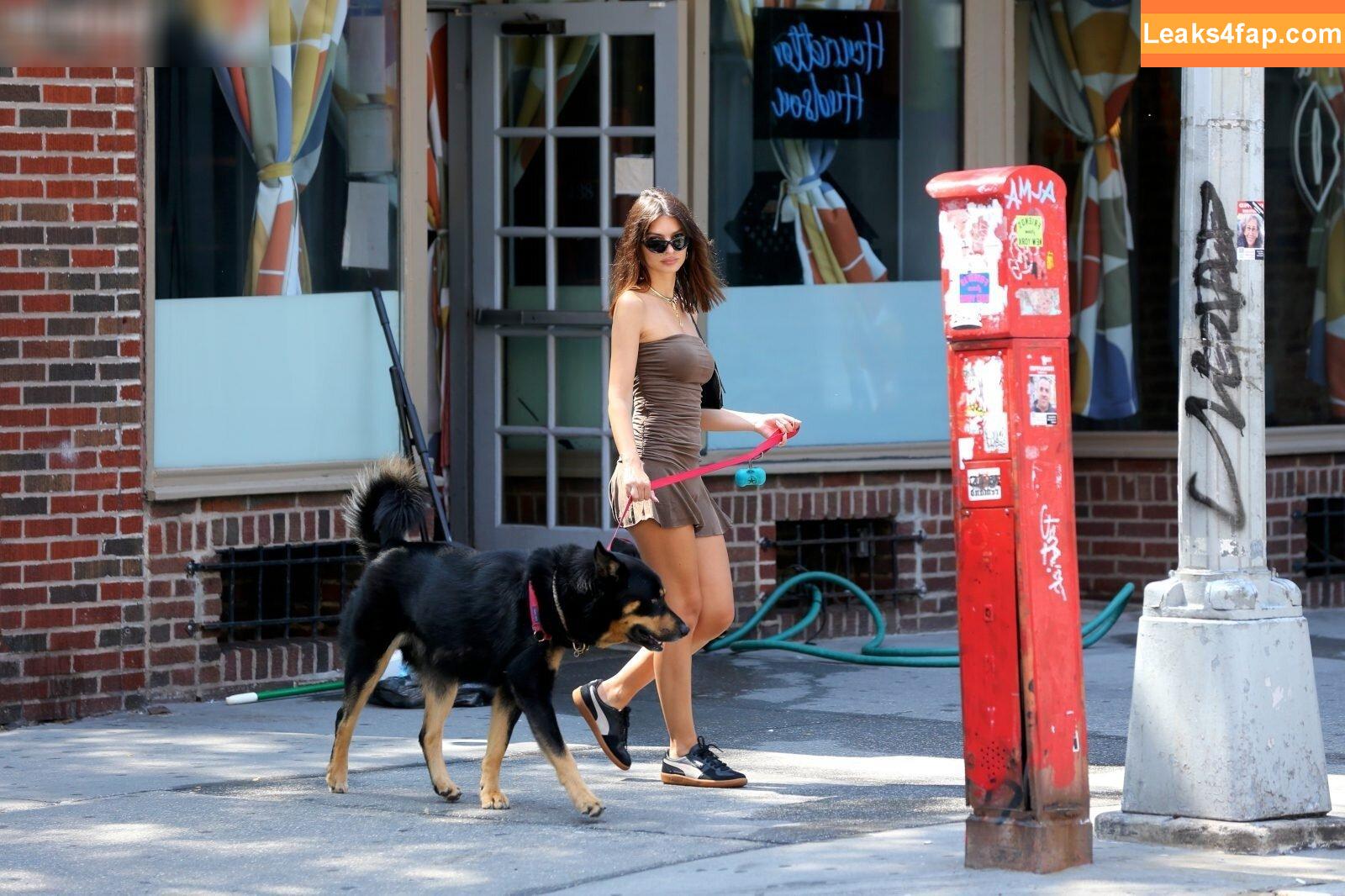 Emily Ratajkowski / emrata слитое фото фото #5490