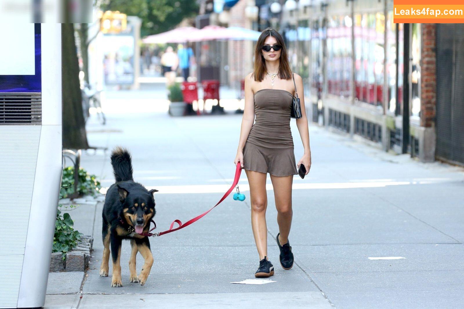 Emily Ratajkowski / emrata слитое фото фото #5491